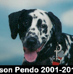 Arson Pendo 2001-2015